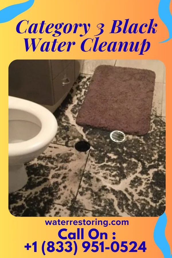 Category 3 Black Water Cleanup in Hartford, MI