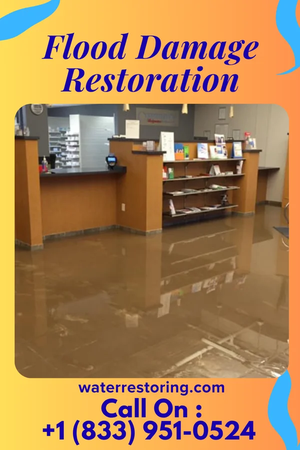 Flood Damage Restoration in Hartford, MI
