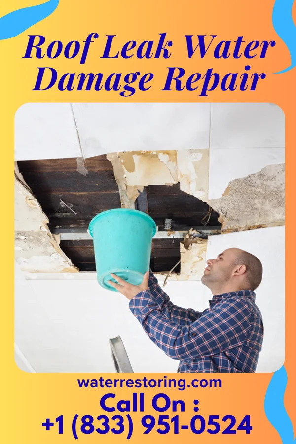 Roof Leak Water Damage Repair in Hartford, MI