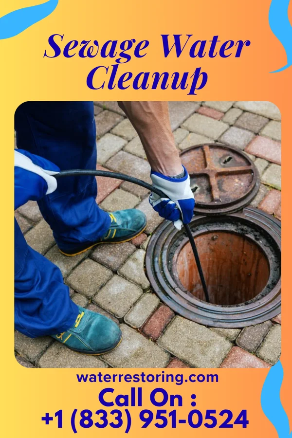 Sewage Water Cleanup in Hartford, MI